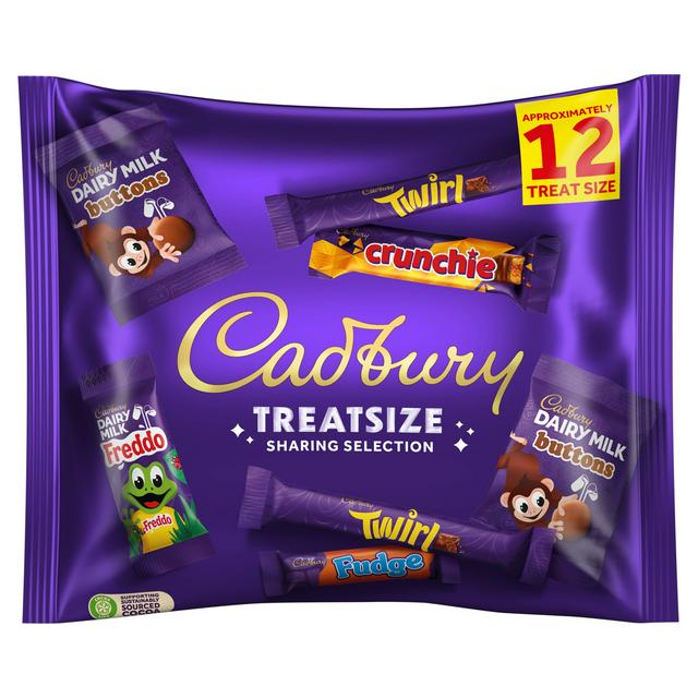 Cadbury Family Treatsize Chocolate Variety Bag x12 223g