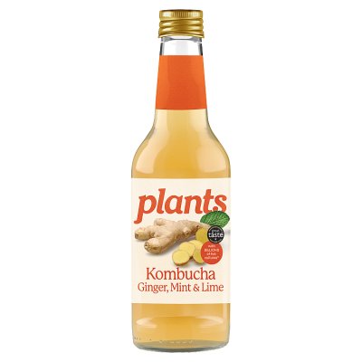 Plants Zesty Ginger, Lime & Mint Kombucha Sparkling Juice Drink