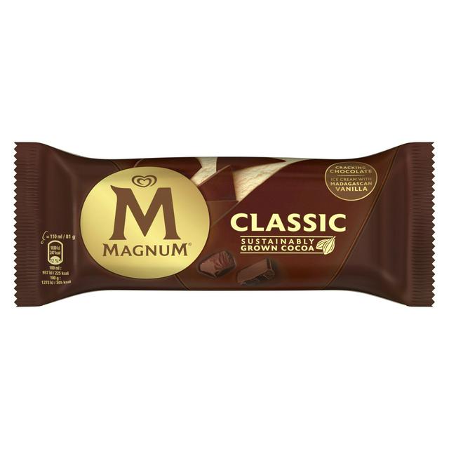 Magnum Ice Cream Classic 110ml