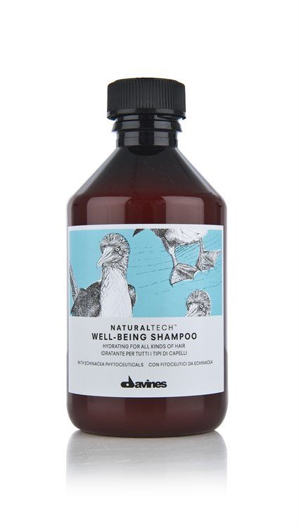 Davines Naturaltech Well-Being Shampoo 250ml