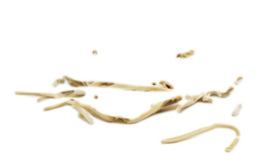 Pasta Scialatielli 11cm Lengd 1,5 kg Labr Tortl