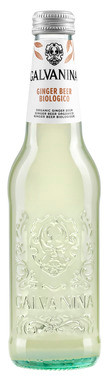 Ginger Beer Øko 355ml Galvanina