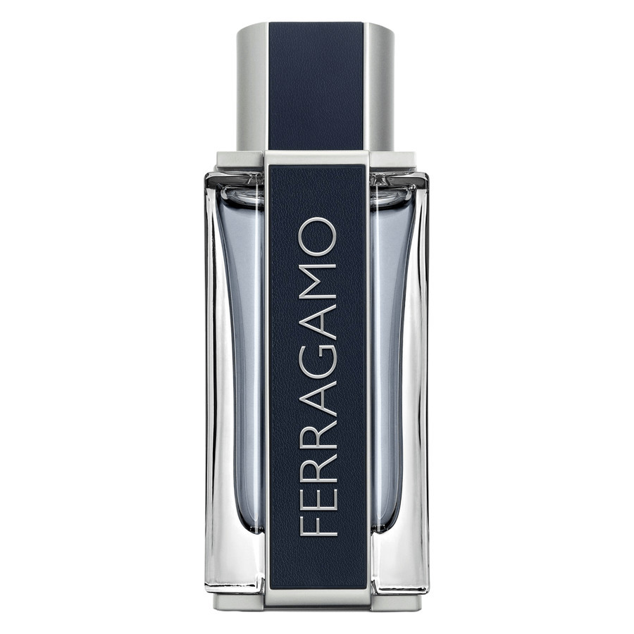 Ferragamo Men Eau De Toilette 100ml