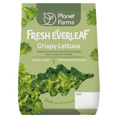 Planet Farms Fresh Everleaf Crispy Lettuce