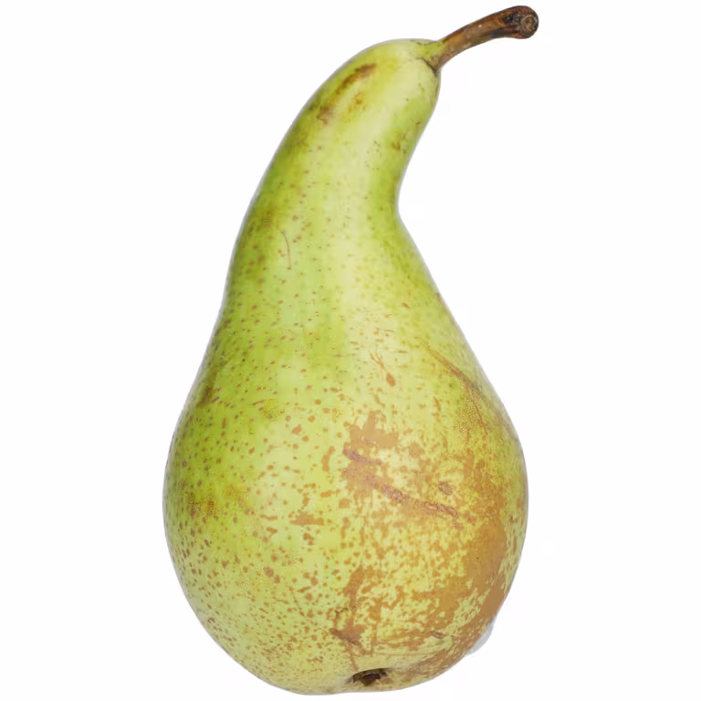 M&S Conference Pear
