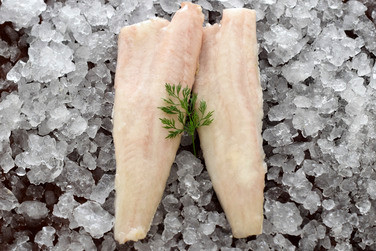 Torskfilet Msc 200/400