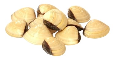 Clams 40/60 Vongole Hel Skjell