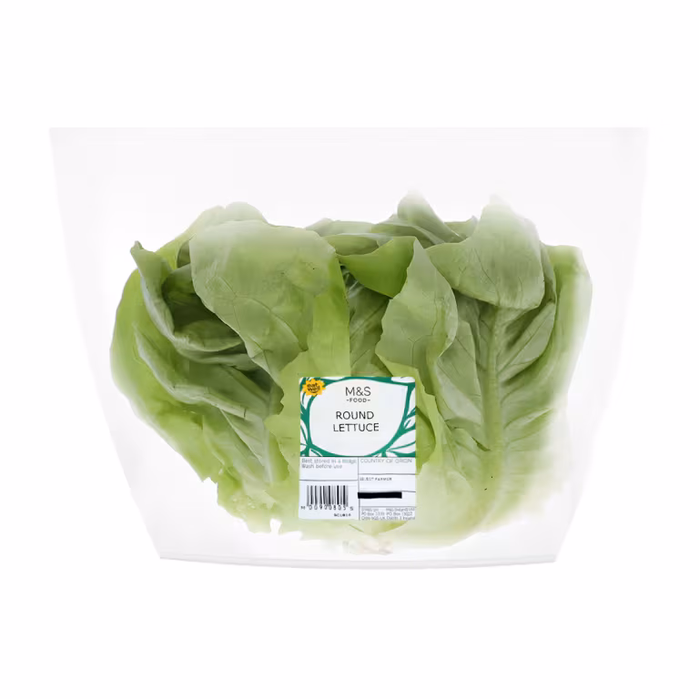 M&S Lettuce
