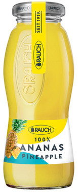 Ananas Juice 0,2l Flaske Rauch