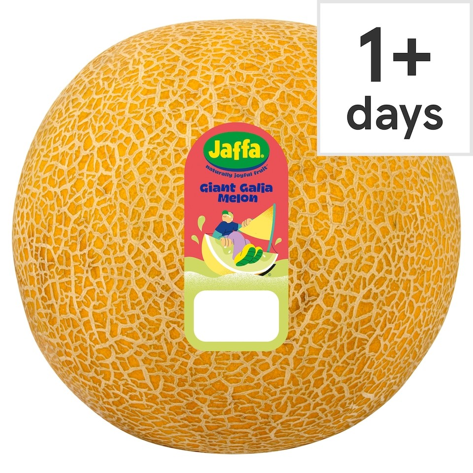 Jaffa Giant Galia Melon Each