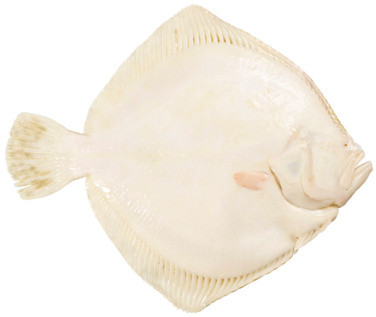 Piggvar Ca.5kg